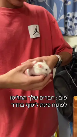 שלב הבא פותחים פינת ליטוף  #fyp #פוריו  #foryou #פינתליטוף 