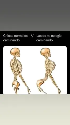 sjjs Simón que si