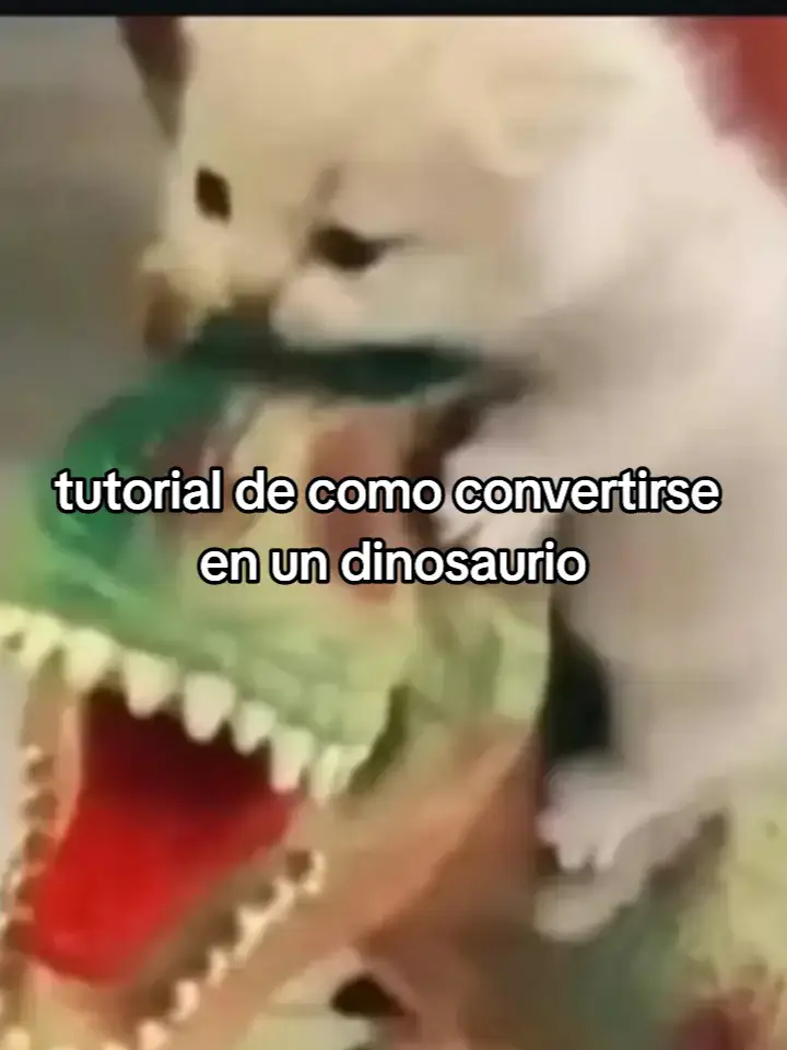 cómo?. #fypp #contenidorandom #viraa #paratiiii 