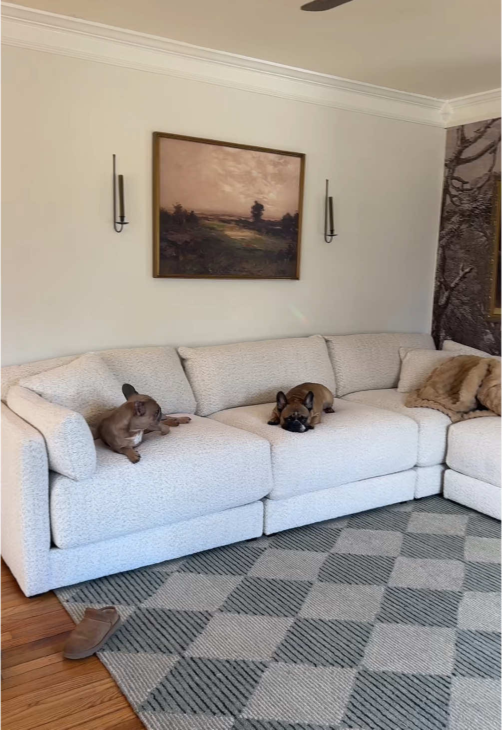 Finally found the perfect sectional for our house after months of searching!!! So excited to cuddle baby here all the time in just a few months 🥹🥹🩵🩵🩵 #sectional #couch #homedecor @American Signature Furniture 