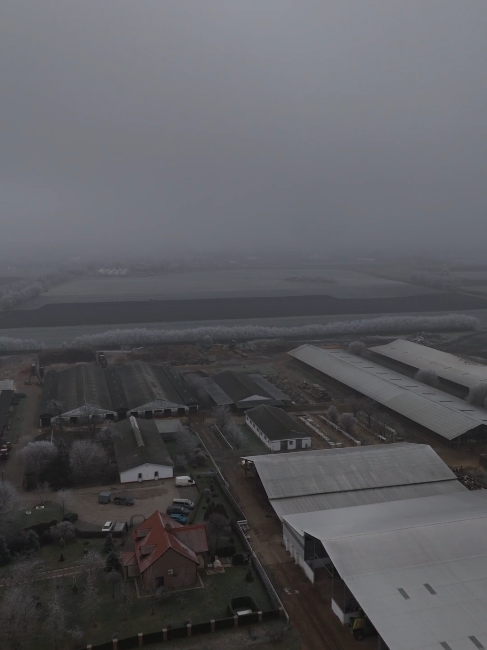 Hungary farm🇭🇺 #cdgkft #farming #hungary #fyp #f #agriculture #cowsoftiktok #cows #dairy #csanádapáca #🐮 #🌬 #avicii #hoarfrost #nekedbe  @Csabi_agro @Vsn Dániel @Geebelen_M🌾🌻 @geebelenantt @geebelen.i @Éliás Gergő ⸙ 