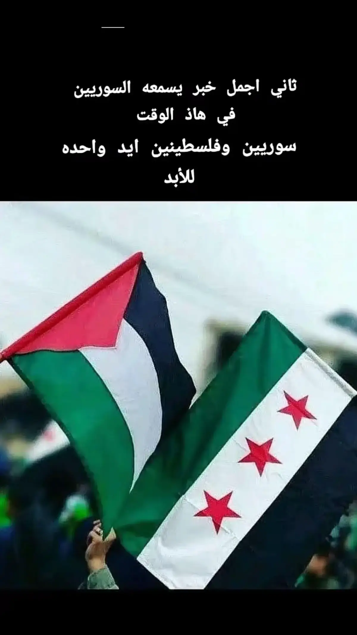 ✌🏻🇵🇸💚