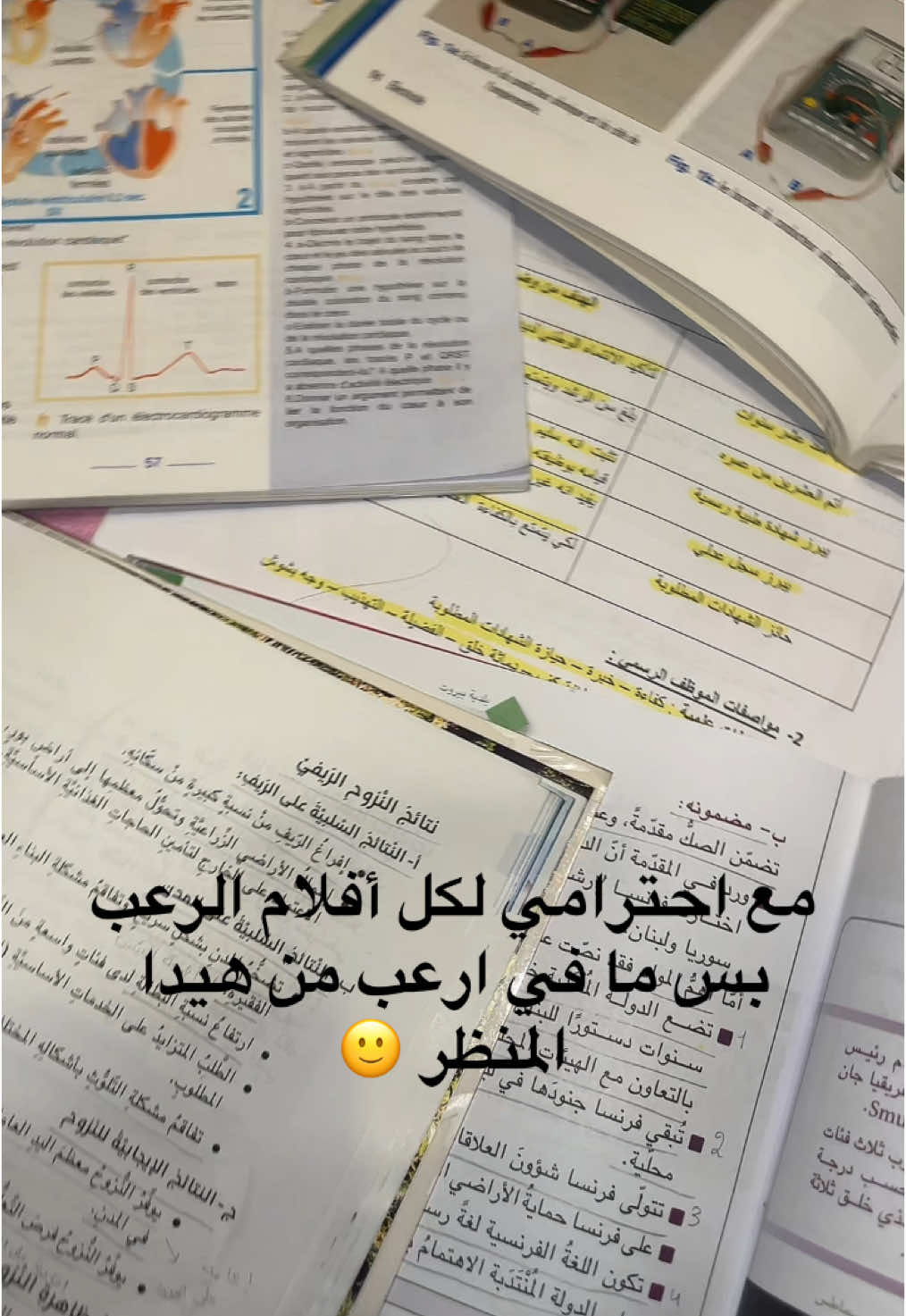 #brevet #rawdafayhaa #highschool #exams 