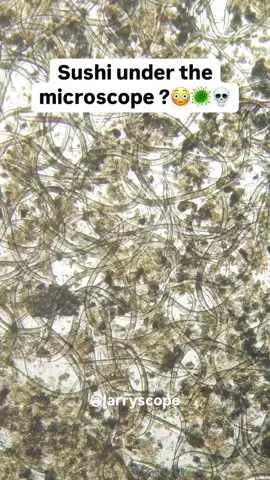 Sushi under the microscope __😳🔬🦠__Subscribe and check my bio _ there_s an iBooks with about fifty everyday foods that can kill you silently🫣