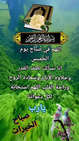 #صباحكم_معطر_بذكر_الله💚🌹🌿🌷😍🌸🙏 #الابذكر_الله_تطمئن_القلوب_أذكرو_الله #اللهم_انك_عفو_تحب_العفو_فاعف_عنا 