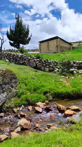 🌿 En Huarki Sasicancha, Lamay, Calca, la naturaleza canta su propia melodía. 🏞️ A 3 horas de Cusco, descubrí un rincón donde los cerros abrazan las casitas, los pájaros susurran al viento y el riachuelo lleva consigo la esencia de la vida. 🌱 Un recordatorio de lo afortunados que somos de compartir este mundo tan lleno de belleza. 🙏 #naturaleza #turismo #viajes #cuzcoperu #cuscoperu #CapCut 