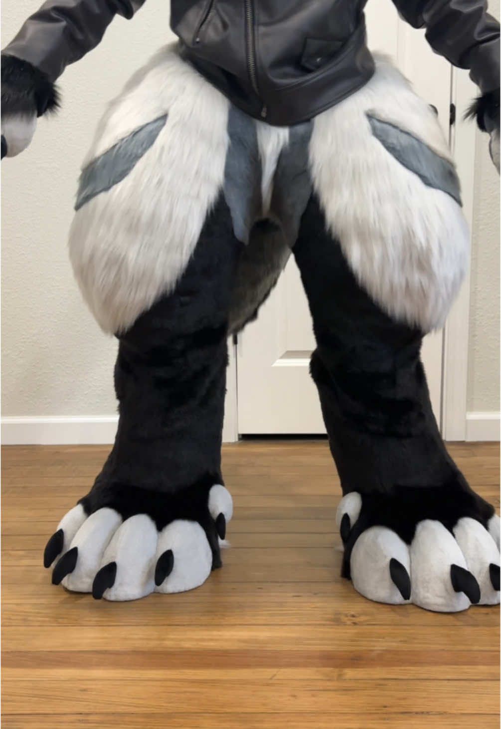 ✨Tesh got an upgrade a few months ago✨  #furry #fursuit #fursuitmaker #fursuitmaking #furryfandom #furrytiktok #fyp #foryou  