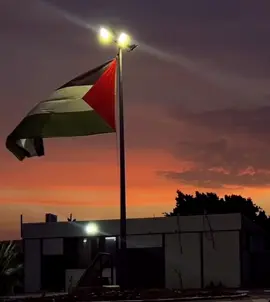 سيبقى علم بلادي يرفرف في  سماء المجد #freepalestine 