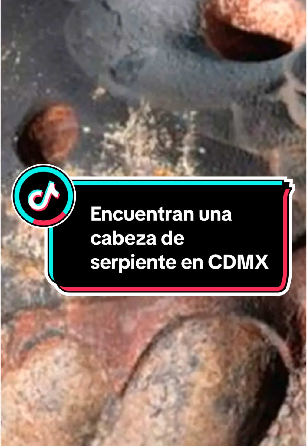 La Misteriosa Cabeza de Serpiente que el Terremoto Reveló en CDMX #CabezaDeSerpiente #CDMX #MisteriosDeMéxico #ArqueologíaMexicana #HistoriaOculta #SerpienteEmplumada #DescubrimientosAsombrosos #CulturaMexica #Terremoto2022 #LeyendasDeMéxico #ReelsImpactantes #DatoCurioso #MéxicoAntiguo #SecretosRevelados #IncreíblePeroCierto