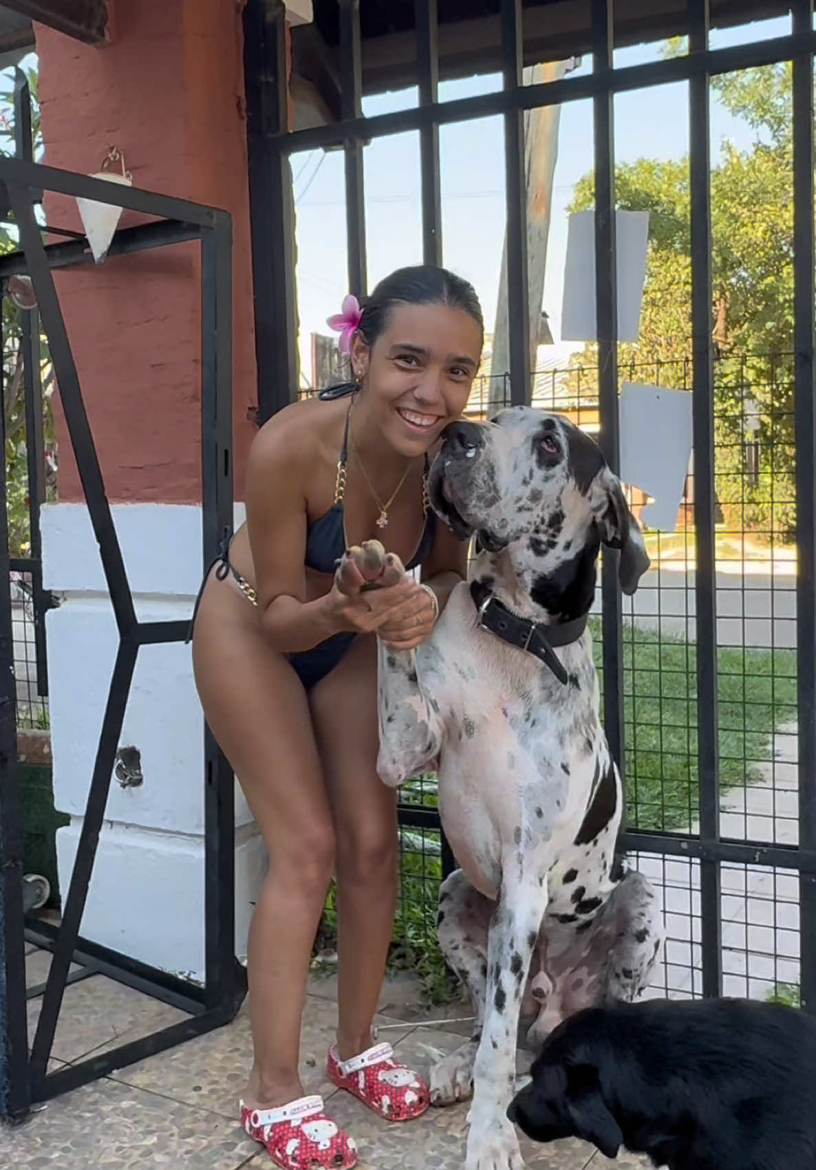 Acompáñennos a un ratito de playa con los perritos 🐶💘 Muchos nos comentaron que está mal llevarlos sin correa, así que quiero contarles algo: ellos son súper educados. Como pudieron ver en el video, cuando llegamos a la playa había perros que les ladraban, y ellos los ignoraron completamente! 🫶🏻 Por supuesto, sería más fácil quitarles su libertad, pero mi papá (el más perrero de todos) nos enseñó a educarlos para que eso no sea necesario 💘🐶 Fuimos solo un ratito porque teníamos que volver a @sol_clothes.ok para seguir vendiendo bikiniiis 😍👙Esta temporada está siendo un éxito🤩 Aprovecho para agradecerles todo el apoyo que me dan cada día✨Me ayudan un montón a seguir creciendo✨❤️ Ig: #carmonasoll_ #perros #playa #bikini 