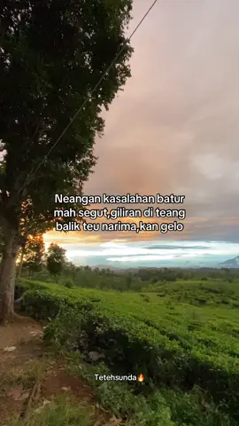 Kalakuan saha sih eta?#4u #masukberanda #fypシ゚viral #tetehsunda🔥 #4you #xyzabc #fyp #trending #sundapride 