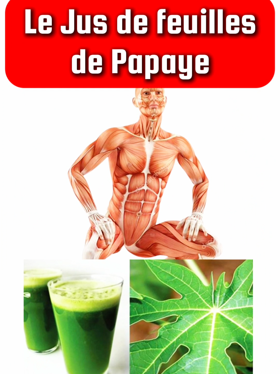 les bienfaits du jus de feuilles de papaye #jus #papaye #feuilledepapaye 