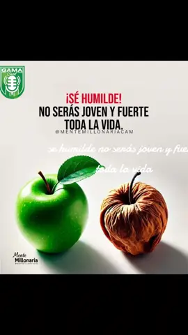 #reflexiondelavida❤🕊️ 