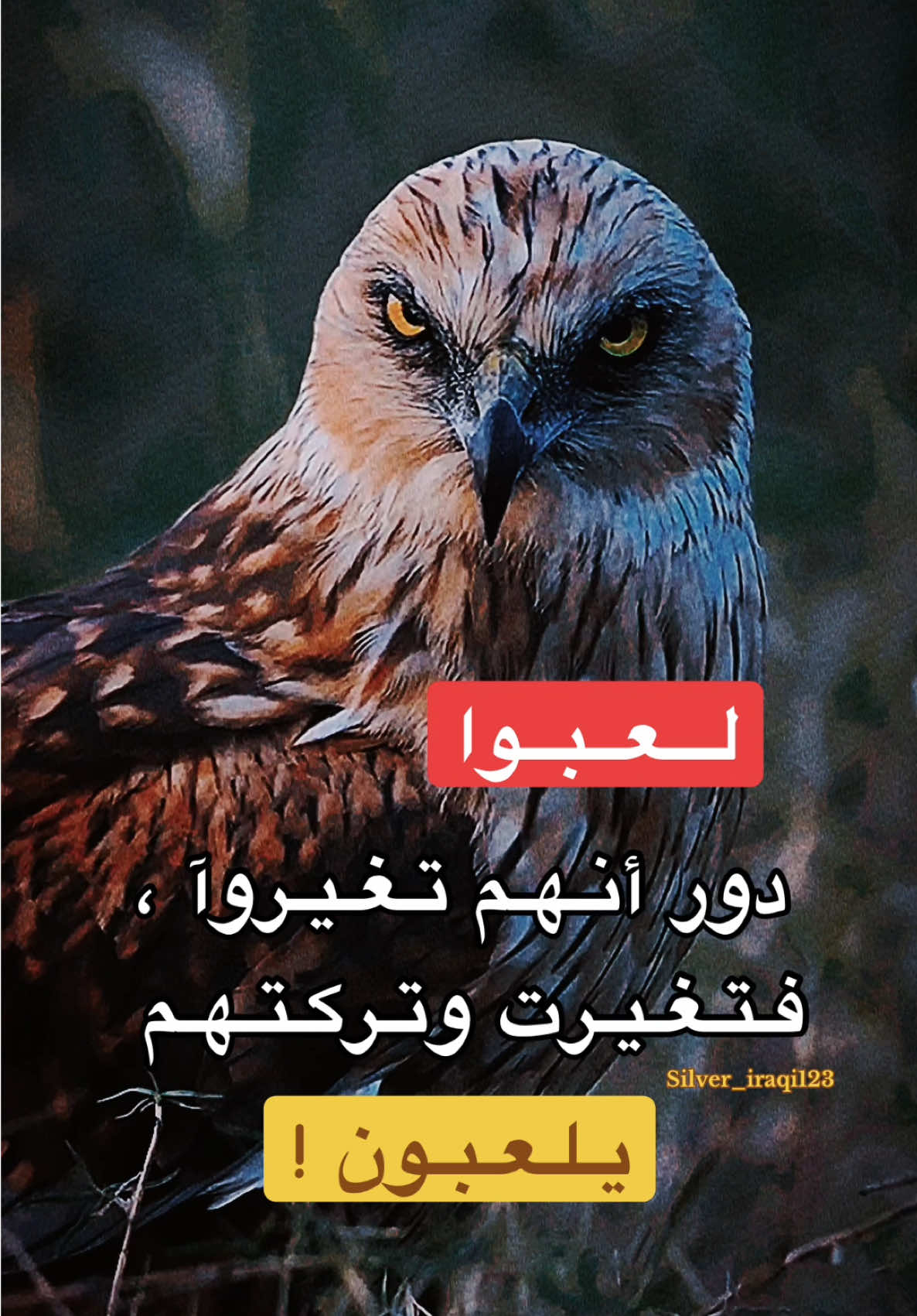 متابعة فضلاً وليس امراً 🩶 #النسر🦅 #الصقر🦅 #بغداد #البصرة #فلوجة #كويت #دبي 