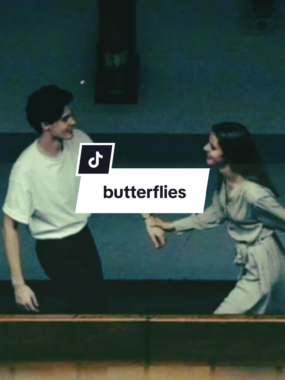 butterflies 🎪 #foryou #lyrics #tiktokuniversity  #mmsub #songs #tiktokmyanmar🇲🇲 