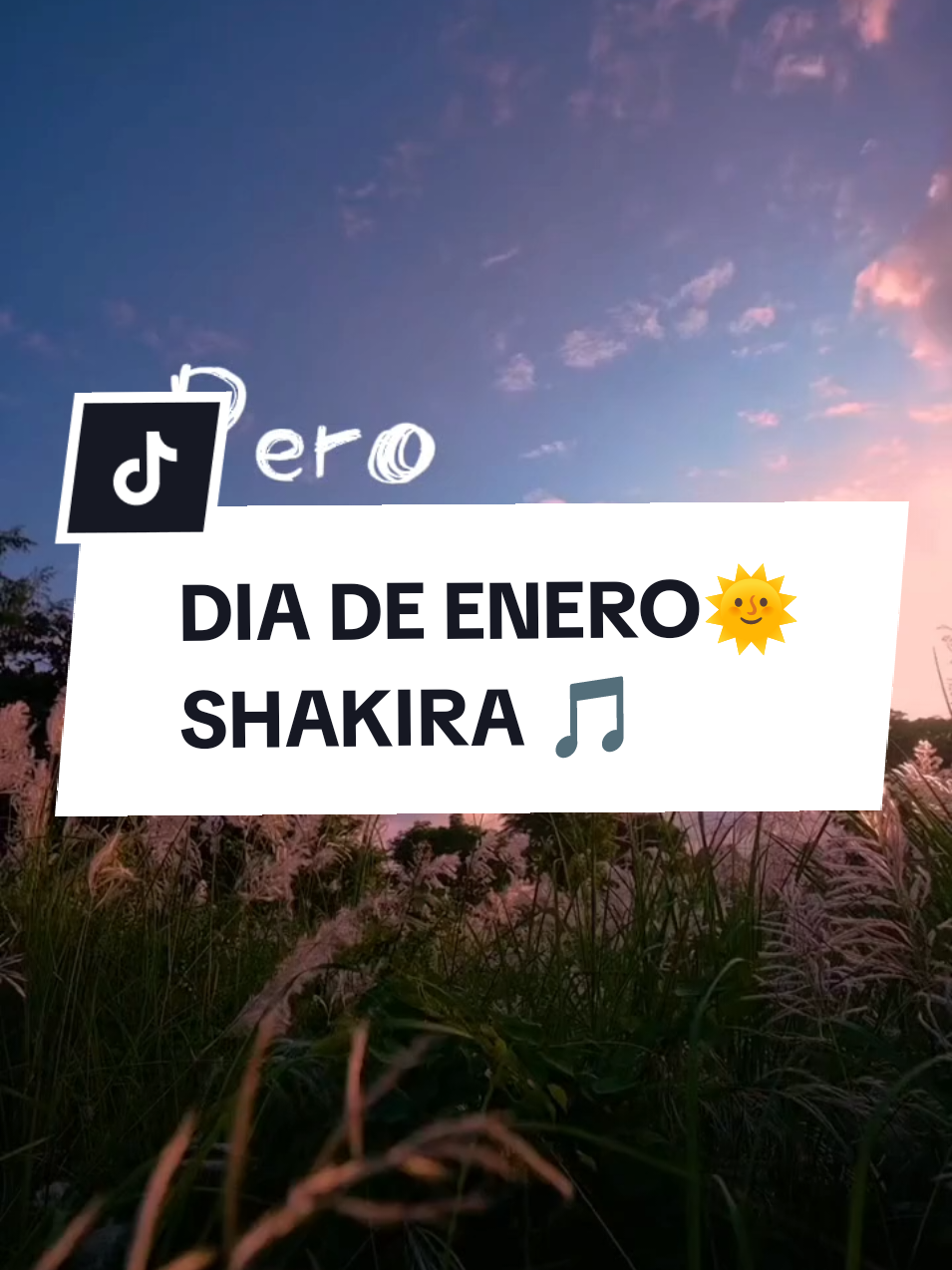 Tú más que nadie merece ser feliz 🎵❤️     @Shakira #diadeenero #CapCut #shakira #diadeeneroshakira☀️🎙️🎵🎼🎶💞💖 #diadeeneroshakira☀️ #shakirafans #colombiana #musica #cancionestendencia #videoviralitiktok #musicaparadedicar #musicaparastatus #cancionviral #cancionentendencia2025 