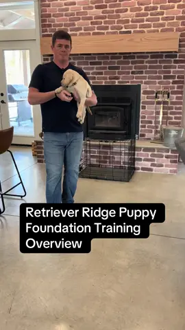 Retriever Ridge Puppy Foundation Training Overview #puppy #dog #fyp 