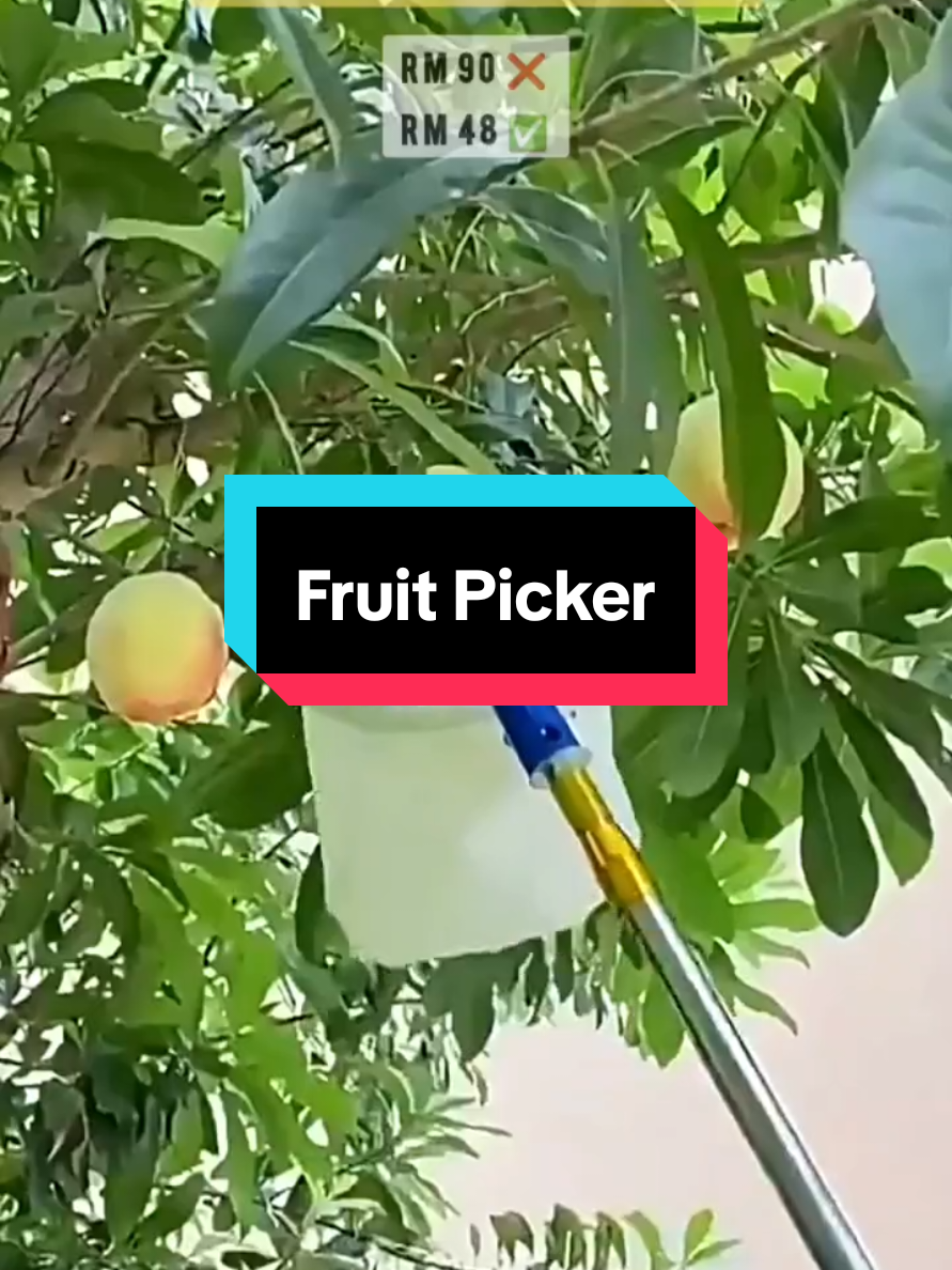 Ade galah ni senang nak kait buah. Galah Pengait Serbaguna 4 in 1. #fruitpicker #galahbuah  #galahserbaguna #galah  #pengaitbuah #pole #fruitpickers  #buah #wajibviral #wajibbeli  #wajibfyp 