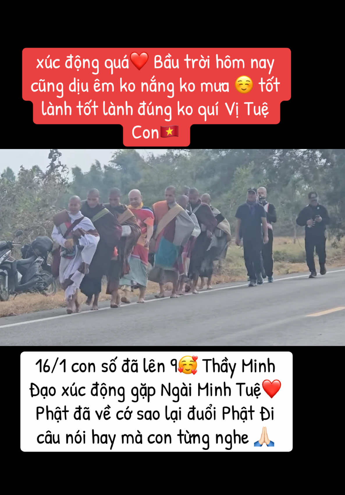 16/1 con số đã lên 9🥰 Thầy Minh Đạo xúc động gặp Ngài Minh Tuệ❤️ Phật đã về cớ sao lại đuổi Phật Đi câu nói hay mà con từng nghe 🙏🏻#longkadaily #thayminhtue #thayminhtuemoinhat #suminhtue #thichminhtue #suminhtuemoinhat #suminhdao 