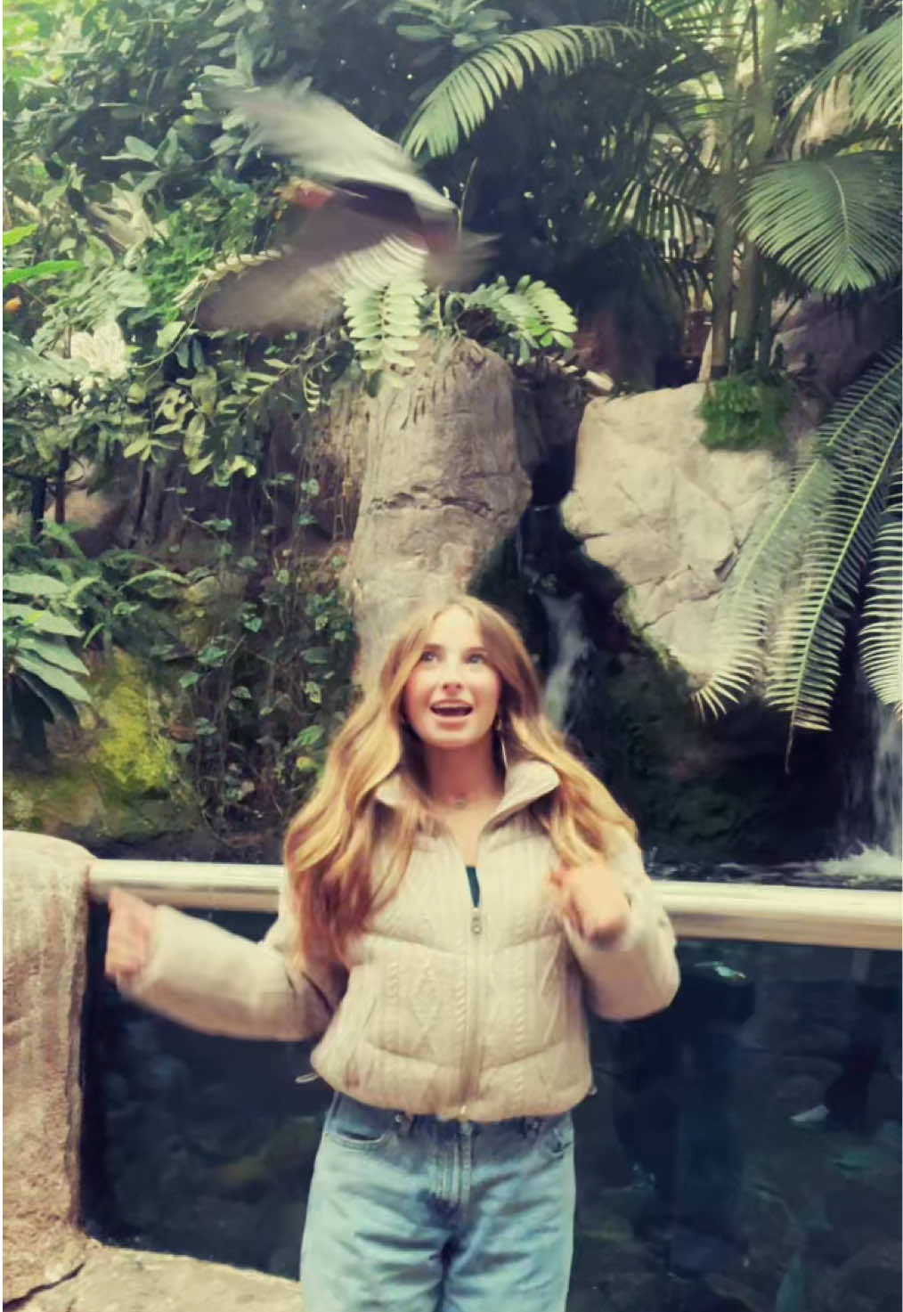 I WAS SO SCARED THE BIRDS WERE GONNA HIT ME HAHAHAH #aquarium #birds #neworleans #louisiana #collegetour #winter #outfitideas #winteroutfit #hollister #rainforest 