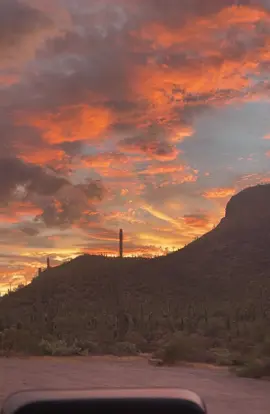 Sunset  #desert #mountains #views #saguaro #fypage #rurallife #arizona #sunsets 