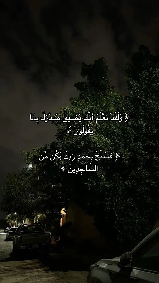 { سورة الحجر - آية 97 ، 98 } القارىء #هزاع_البلوشي  #quran #قران 