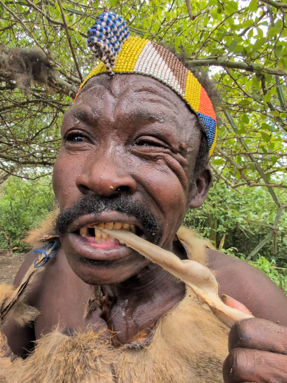 Wow 😳😲 This is So delicious and nutritious food cooked by bushmen middle of nowhere #hadzabetribe #FoodLover #africa #uktiktok #usa_tiktok #village #local