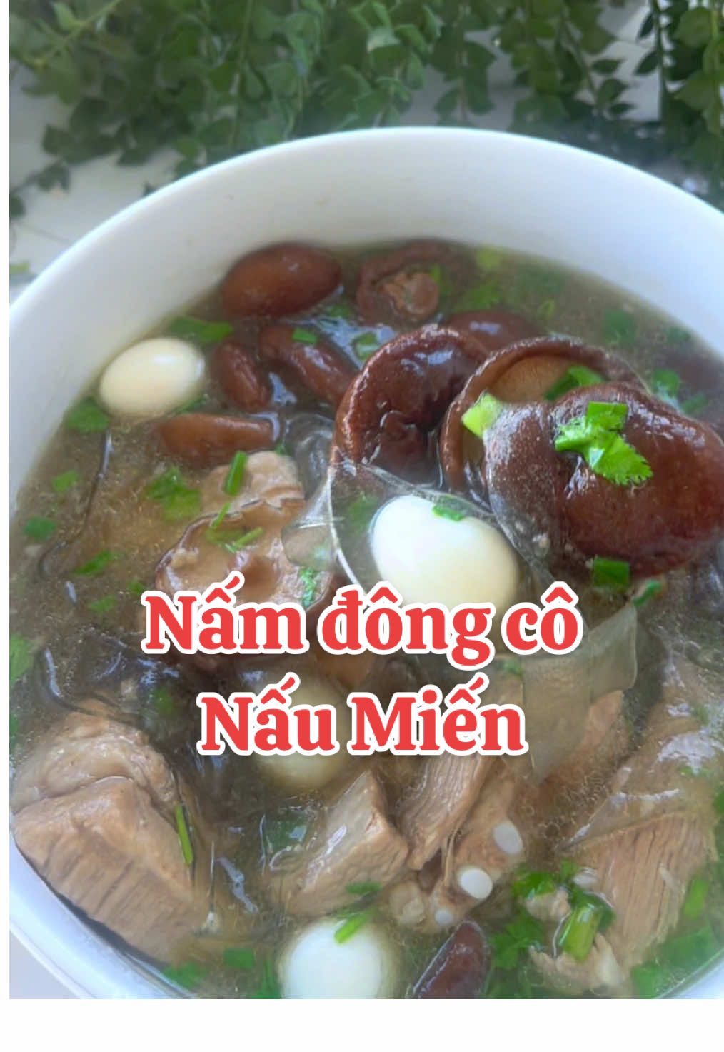 May ba nấu thử cái nón này đi. Nấm đông cô hầm sườn non nấu miến sụn bầu tui nói ngon lệch lếch luôn đó. Nó ngọt cái nước nó non phải nói luôn #bepbaduong #rewiew #ancungtiktok #xuhuon #food #viral #muckbang #monngon #monngonmoingay #namdongco #namdongcosaykho #thienthaoorganic 