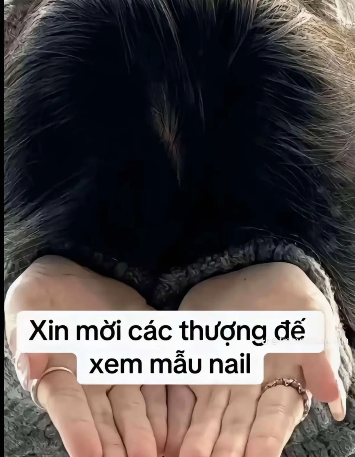 Mần nail rực rỡ cả nămm…#nails #nailart #nailsdesign #xuhuong #nailtet #naildouyin #douyin #nailbox #nailchan #fyp #foryou 