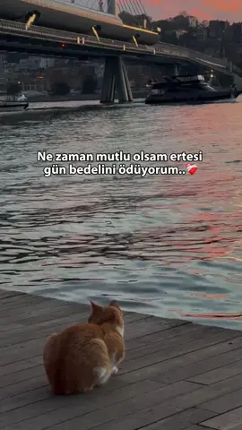 #kesfetbeniöneçıkart #keşfetbeniöneçıkar #keşf #etteyizzz #keşfetteyizzz #keşfetbeniöneçıkar #kesfetbeniöneçıkart @• KILIÇ • @🅰︎🅱︎🅽︎ 🅃🄰🄼🄼🄰🄷 