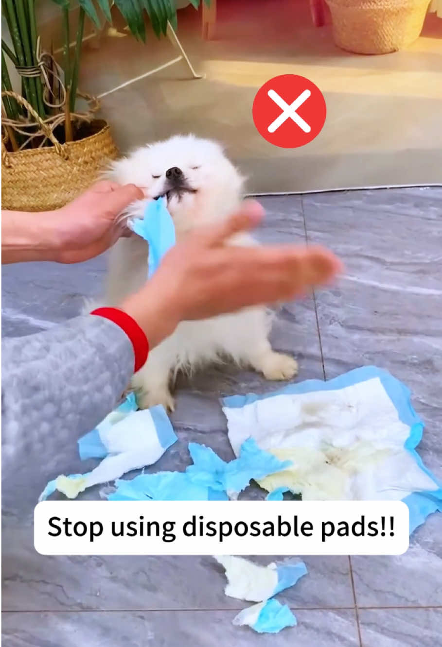 Pet Pad Hacks: Waterproof, Easy Clean, and 50% Off!