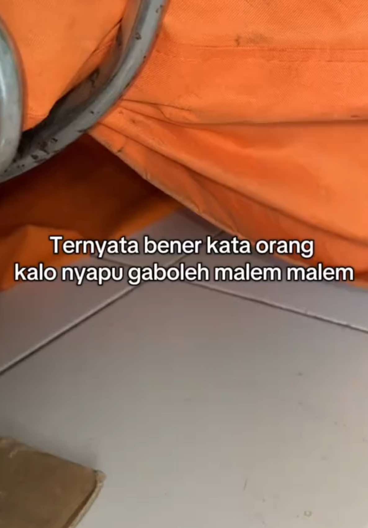 bikin merinding😰#kucinggemoy #videoviral #kucinglucu 