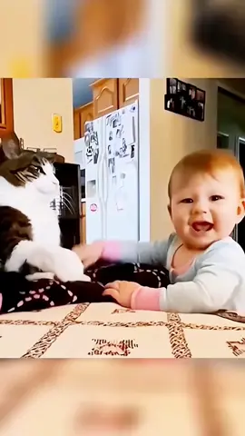 Kids and cats #cat#cutecats#fyp#catlover#foryou#funnyvideos#funnyanimals#kitten#pet#usa_tiktok