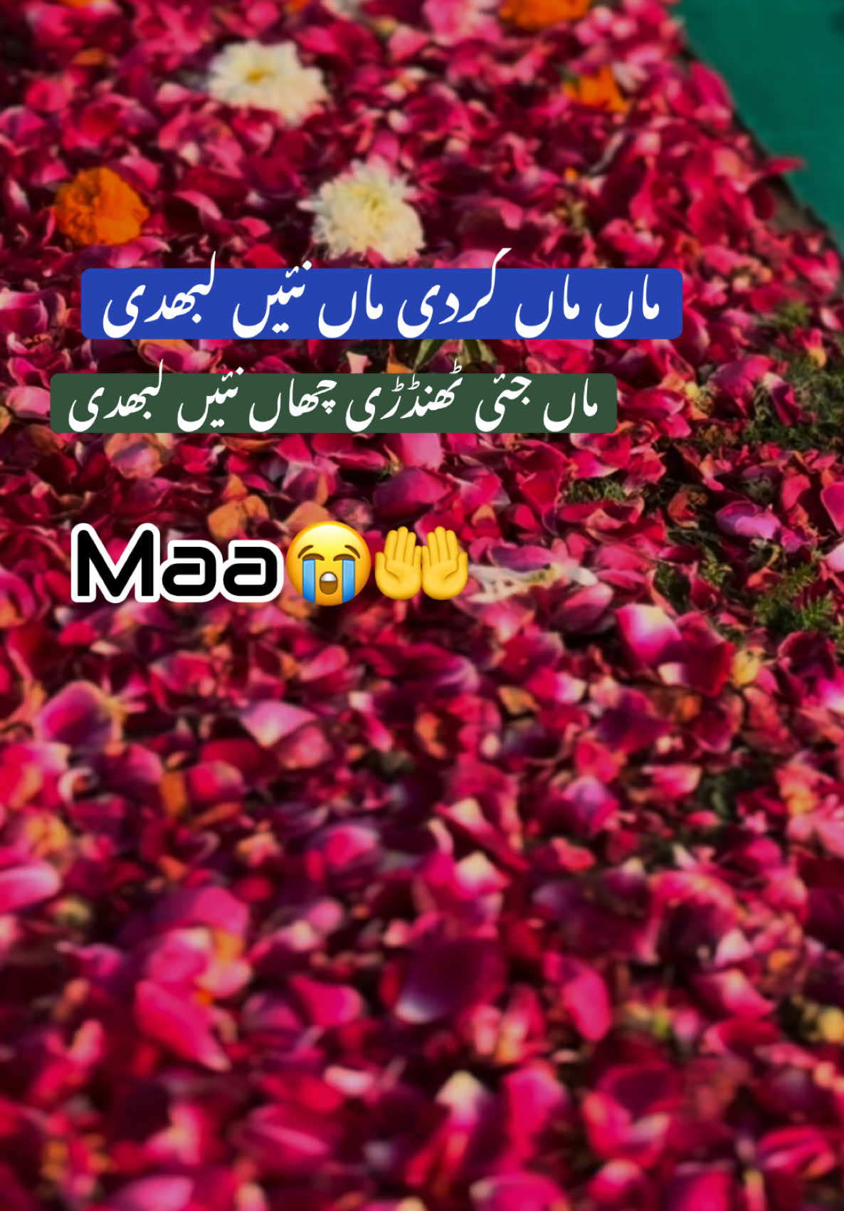 Maa Sad Status 😭🤲 #CapCut #maa #allah #muhammad #qeemtiheramaa 