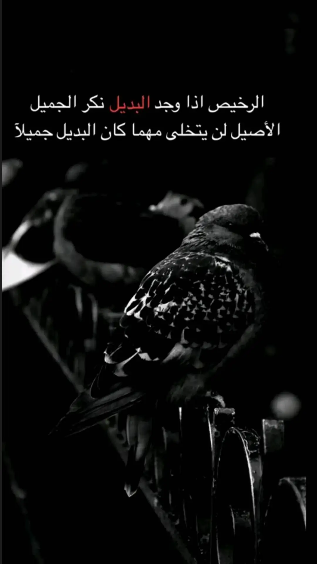 نـعـم يـا صـديـقي #عبارات_جميلة_وقويه😉🖤 #هاشتاقات_تيك_توك_العرب #قصائد_شعر_خواطر #عبارات #fyp #تصميم_فيديوهات🎶🎤🎬 #اخر_اشي_نسختو💭🥀 #شعر 