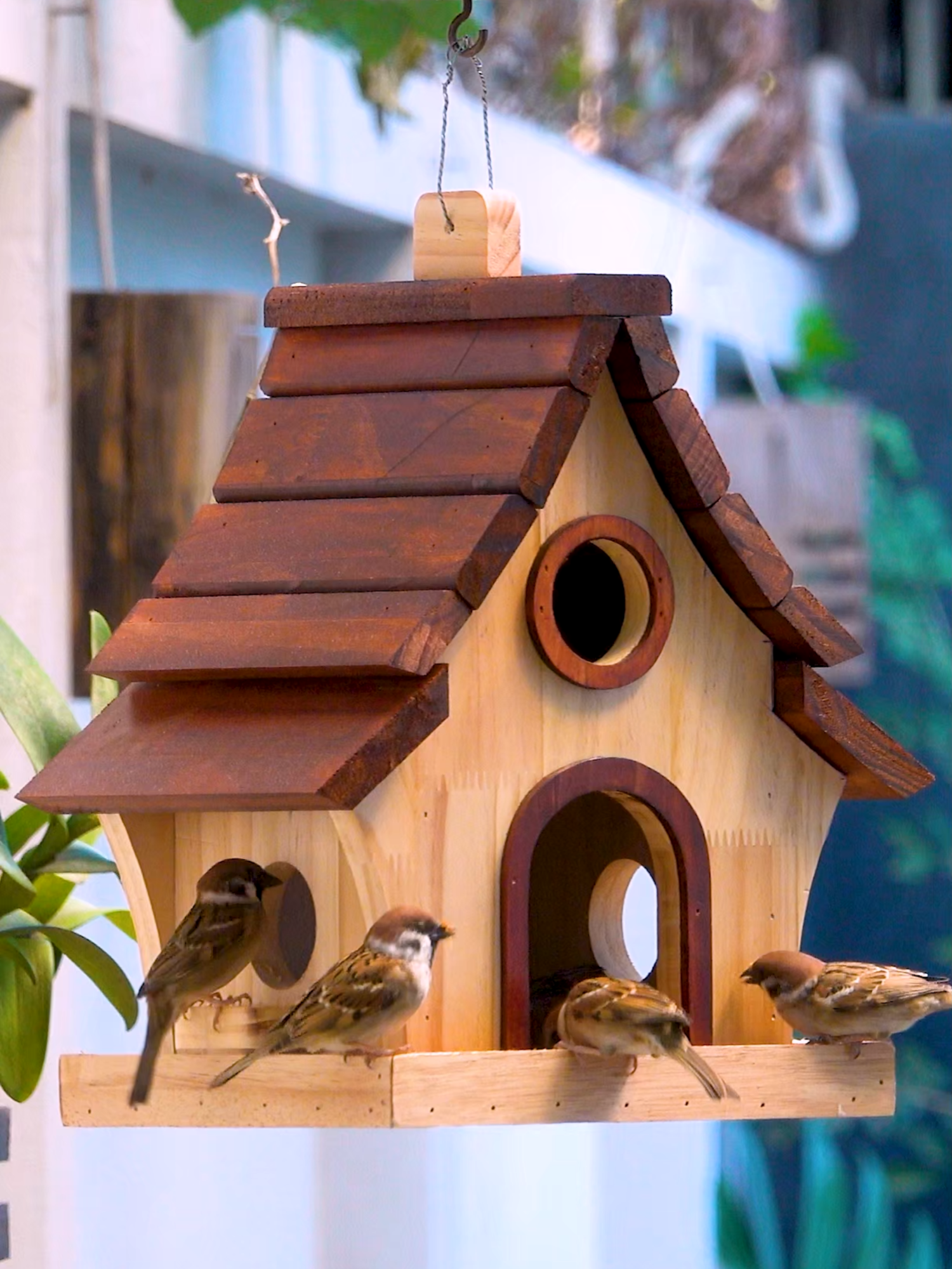 CREATE Your Own Bird Feeder at HOME in 5 Minutes!