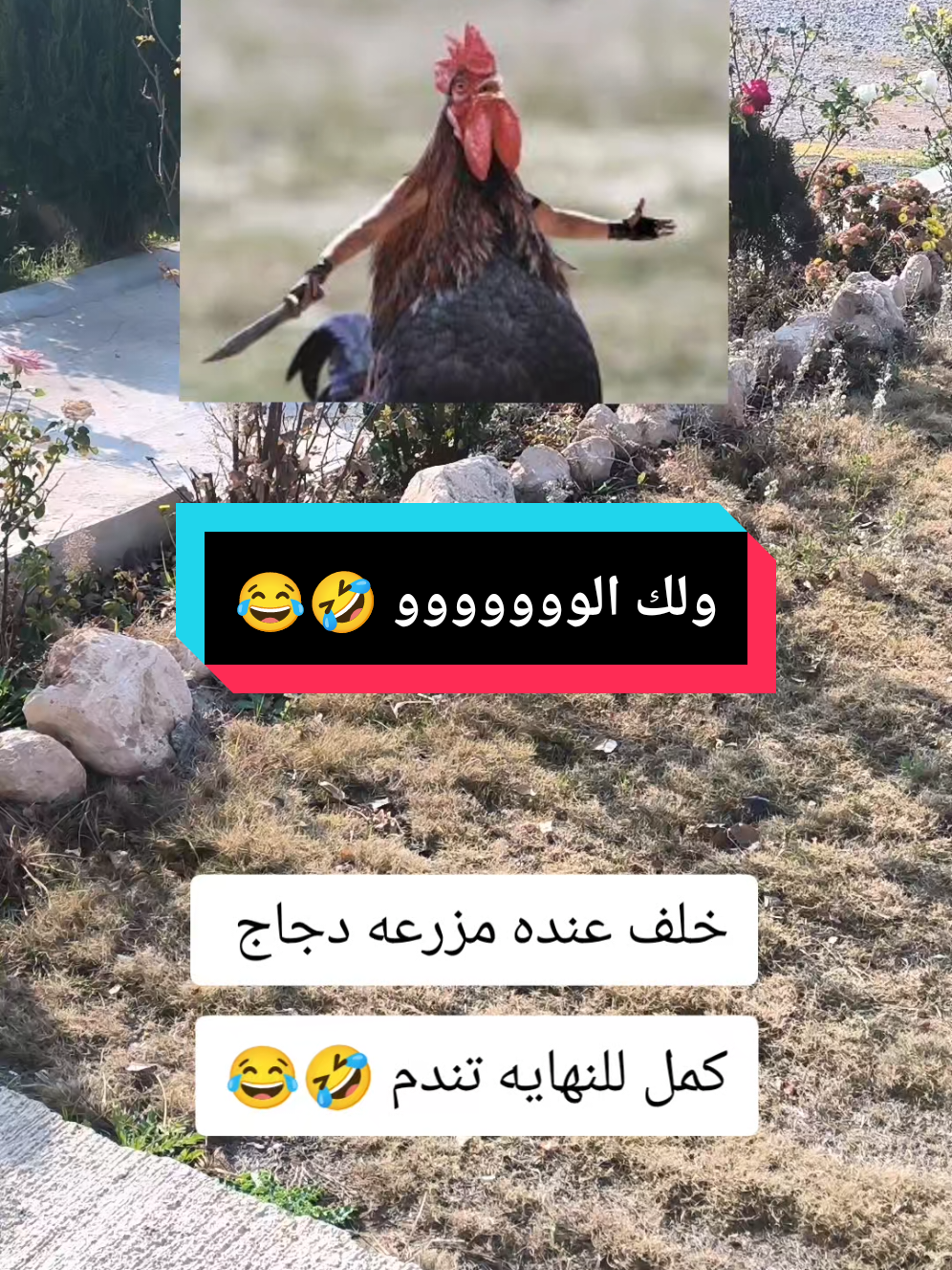 خلف عنده مزرعه دجاج #🦅احمد_الطيار🦅 #الشعب_الصيني_ماله_حل😂😂 