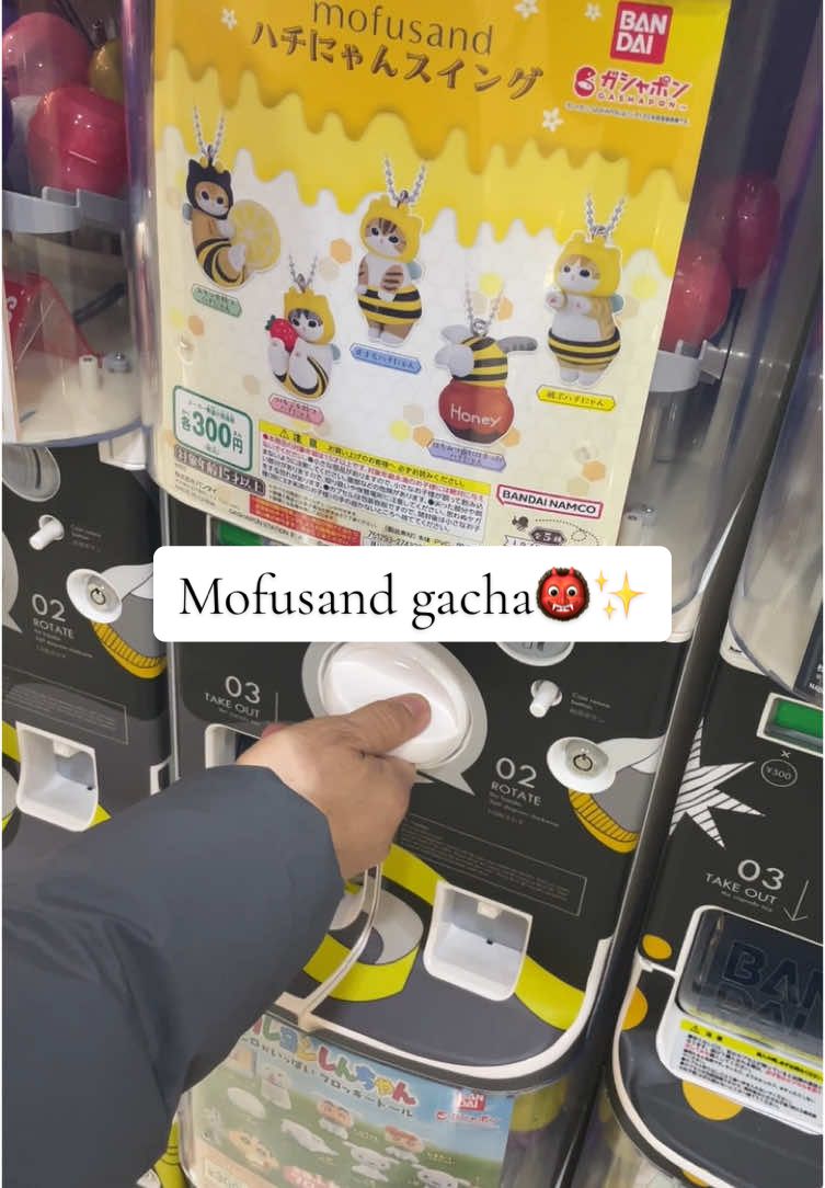 guess which one I got! #mofusand #gacha #gachapon #fyp #foryou 