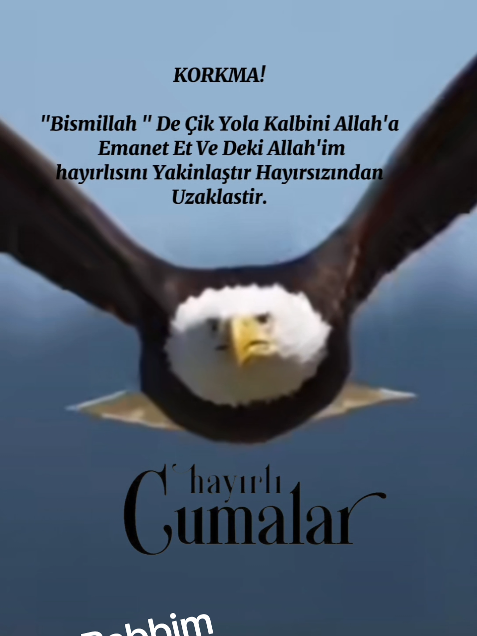 #cumanızmübarekolsun #hayırlıcumalar🌹🌺🌺🌷💖 #cumanız_mübarek_olsun🌹🕋🌹🕌🤲 #hayırlıcumalar ##dualar #yollar #rabbim #cumavideoları #cumamesajları #🤲🤲🤲 #🍂🖤 