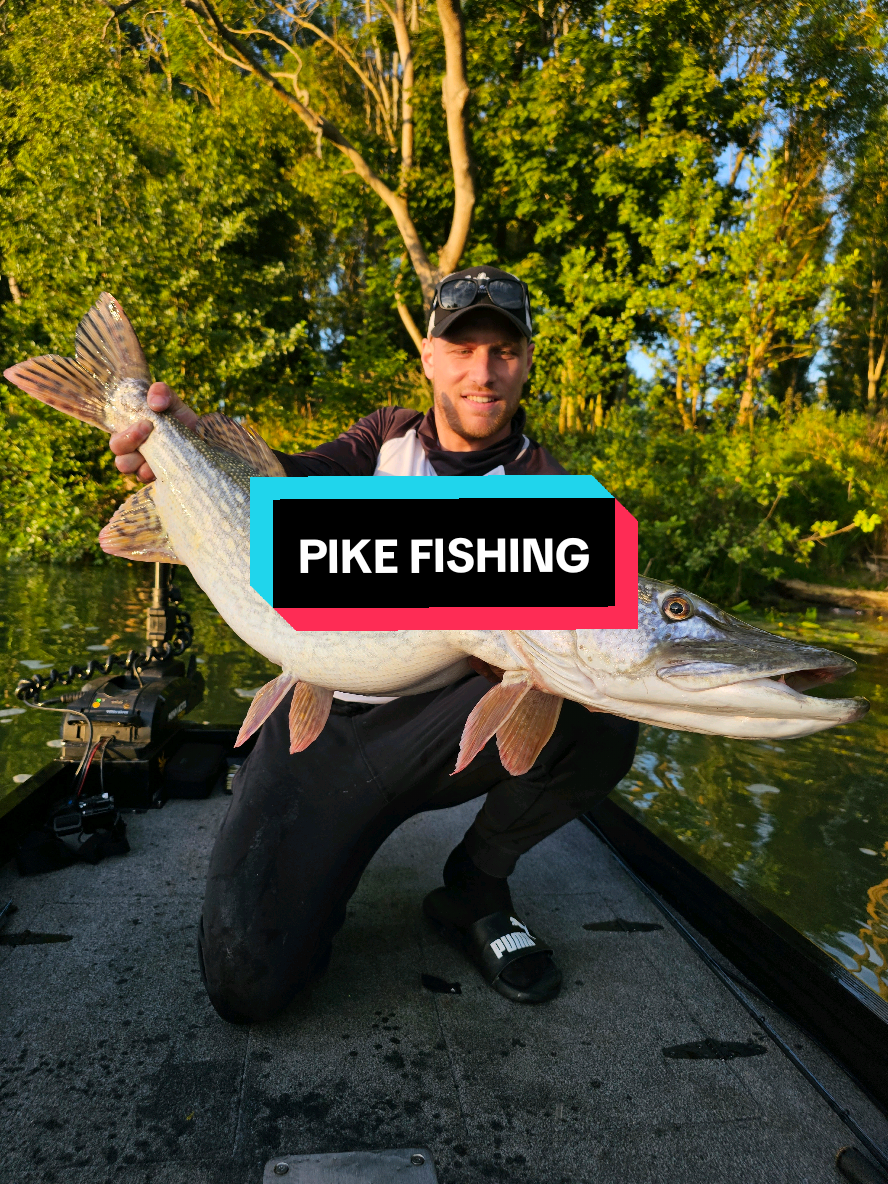 #Pike #Brochet #Fishing #Pêche 