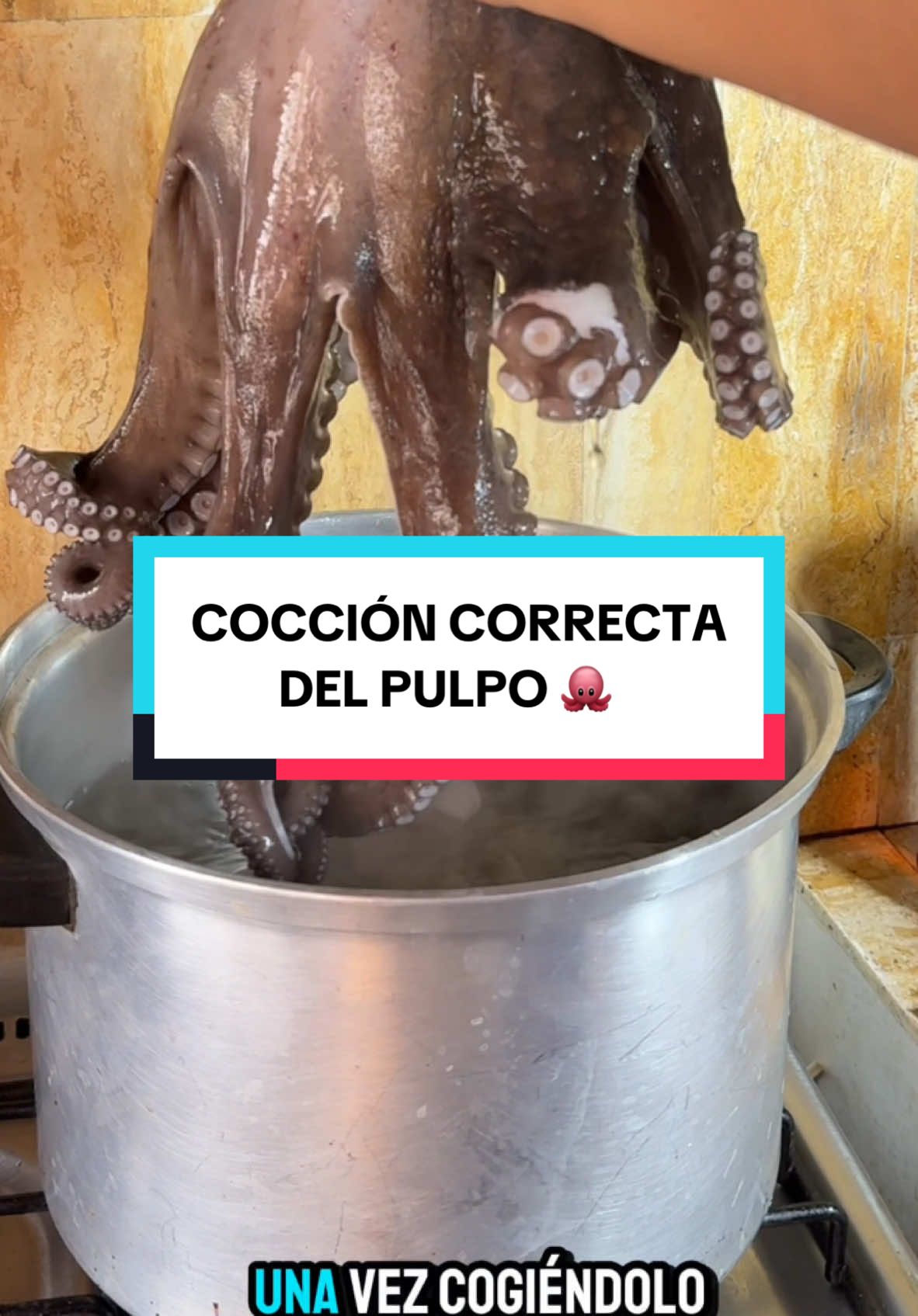 COCCIÓN CORRECTA DEL PULPO 🐙- Te dejo todos los Tips para una cocción correcta del Pulpo : 1) Limpiar y Lavar el Pulpo correctamente ( ver video anterior) 2) Asustar al Pulpo desde agua en ebullición 3 veces para romper la fibra muscular . 3) Dejar en cocción a fuego medio por el tiempo adecuado dependiendo del tamaño del pulpo . Te dejo referencias          •	Pulpo pequeño (1-1.5 kg): 25-30 minutos. 	•	Pulpo mediano (2-2.5 kg): 30-40 minutos. 	•	Pulpo grande (más de 3 kg): 45-50 minutos. 4) Pinchar la parte gruesa del tentáculo con un mondadientes de preferencia para no maltratar la piel . El mondadientes debe entrar sin hacer fuerza, como mantequilla, esto indica que el pulpo está listo. 5) Sacar el pulpo y meter inmediatamente a un baño María invertido ( agua con hielo) para cortar cocción 6) Una vez frío cortar tentáculos de manera transversal y envolver en papel film y meter a congelar por 4 horas 7) Listo! Tienes el pulpo perfecto  #pulpo #coccióndelpulpo #tipsdemamá 