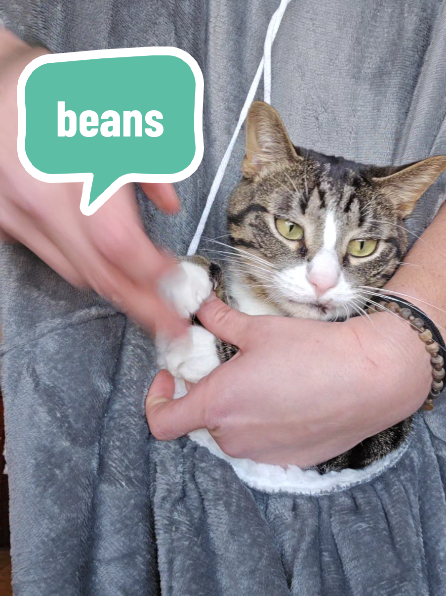 I'm sorry about this one guys the vibes are unhinged around here lately. #soup #cornbread #souptok #catsoftiktok #toebeans #bean #cattok #kitten #rescue #dancing 