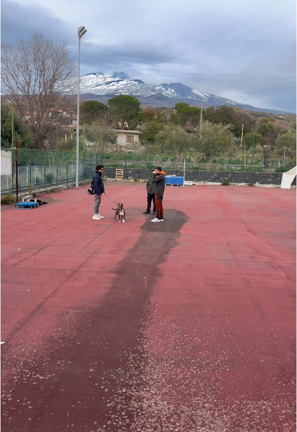 corso di cinofilia sportiva continuano le lezioni di “obbedienza”  @Sport e Salute  #spazicivici  #playdistrict 