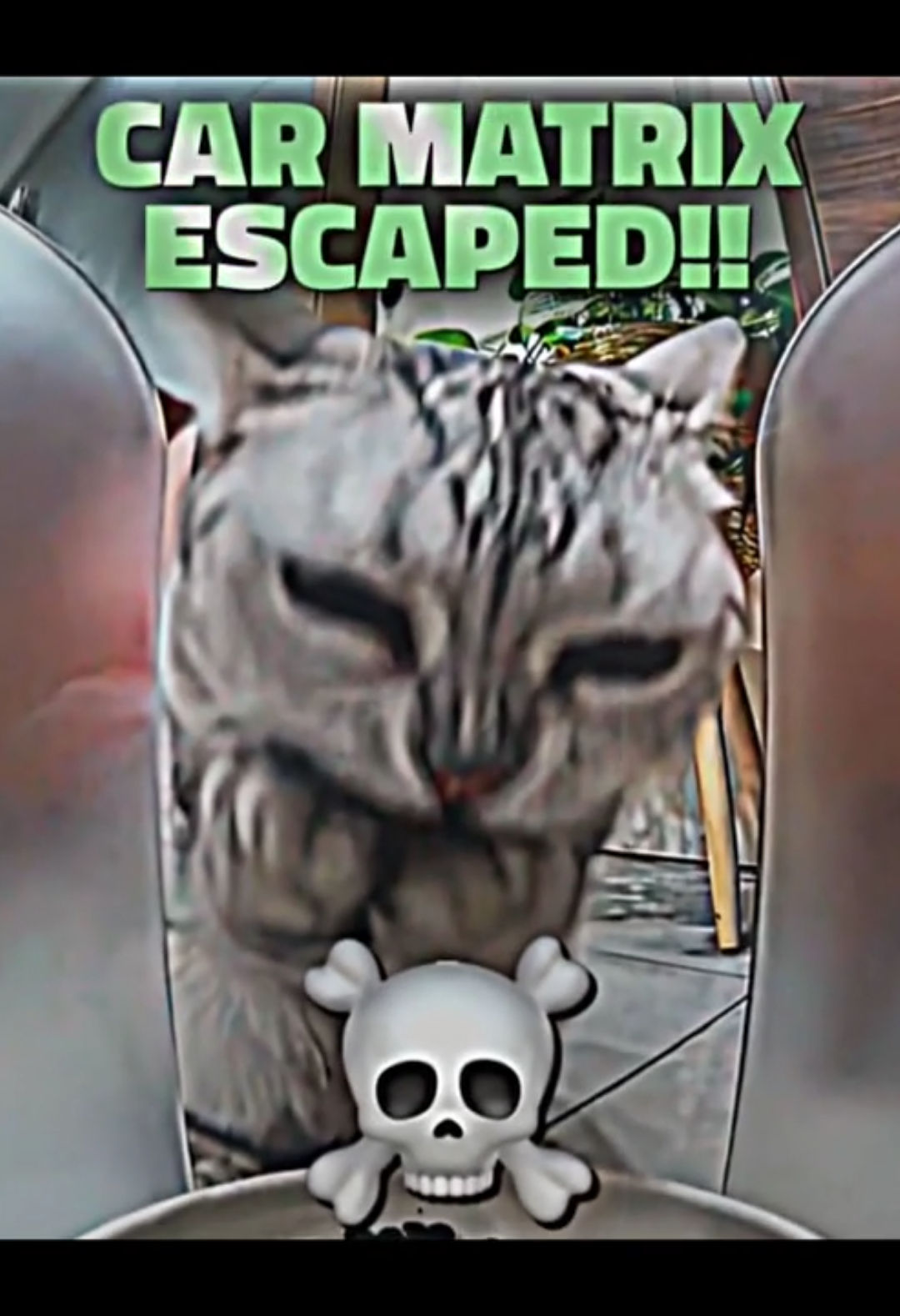 The cat is tired of pretending💀🔥#trollface #edit #fyp #foryou #foryourpage #keppsupporting #trendingvideo #skinwalker #cat #scary #edits #viralvideo #goviral