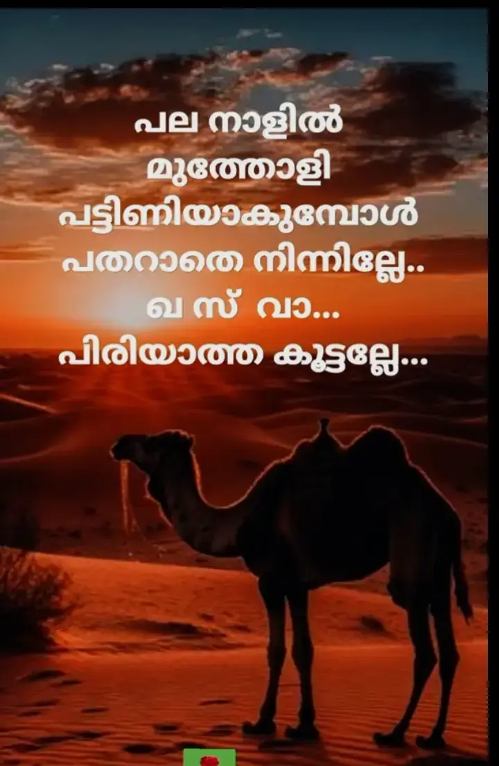 ജുമാ മുബാറക്ക് 🤲🤲🤲🤲🤲