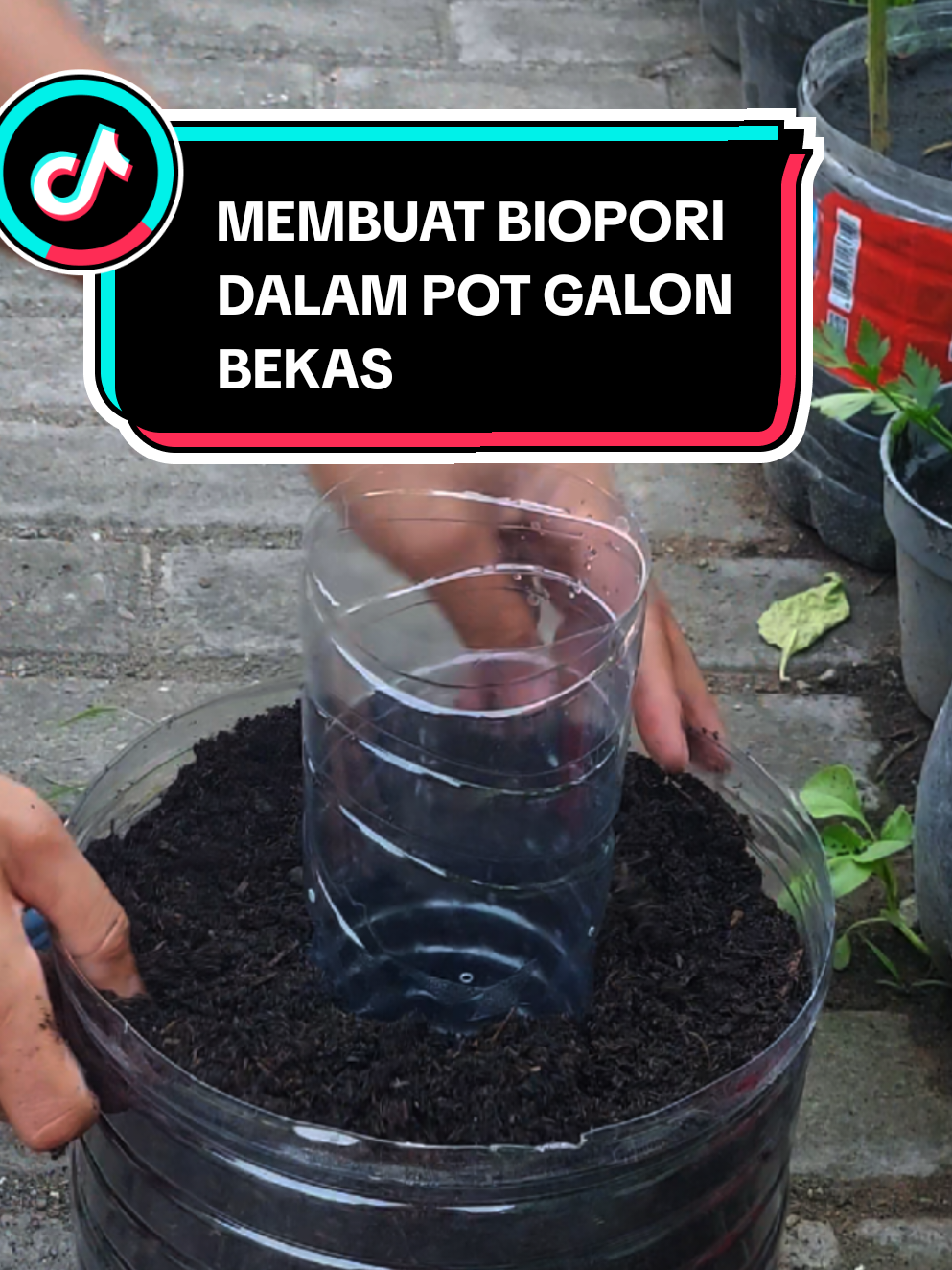 Cara membuat biopori dalam pot.  biopori botol bekas dan pot galon. #fypシ #fyp #pestisidaorganik #pertanian #berkebun #kebunrumah #trending #biopori #potbiopori #potgalonbekas 