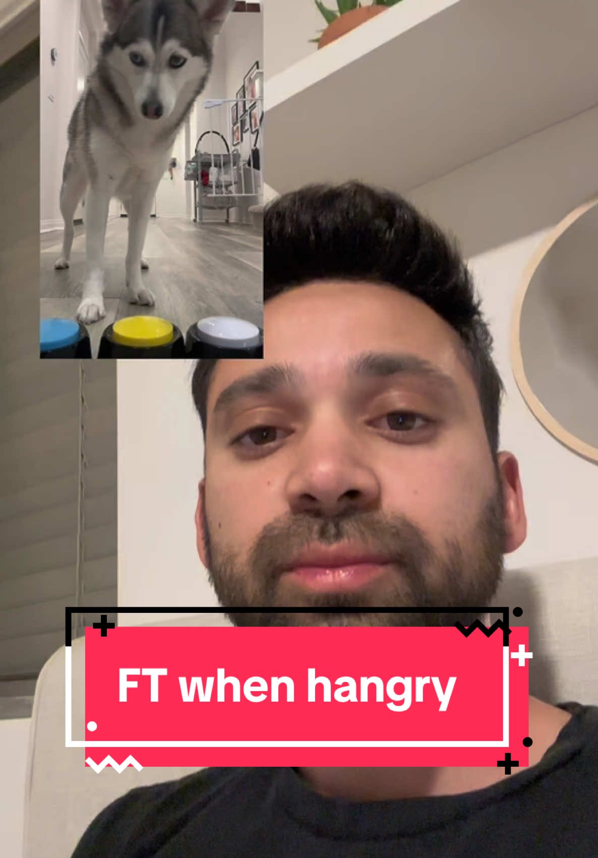 Facetiming with Sapphie while she’s hangry be like …😂😂😂 #smartdog #dogs #dogsoftiktok #pets #doglover #fyp