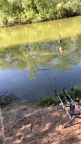 PVA Mesh Carp Fishing 🔥 #fyp #foryou #foryoupage #fishing #fishinglife #fishtok #angler #carpfishing #nayzofishing #viral 