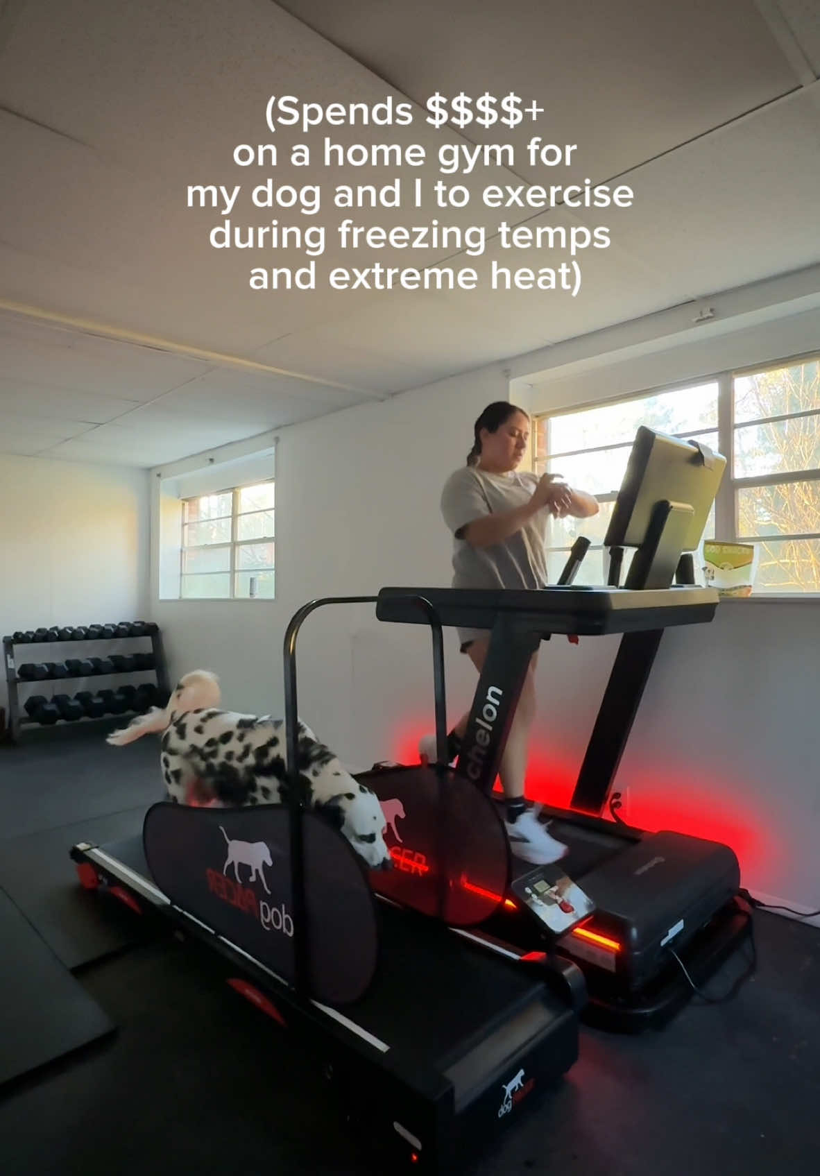 Honey, I can’t critically think FOR you 🤠 #dog #dogs #dogtok #run #runtok #Running #dogtreadmill 