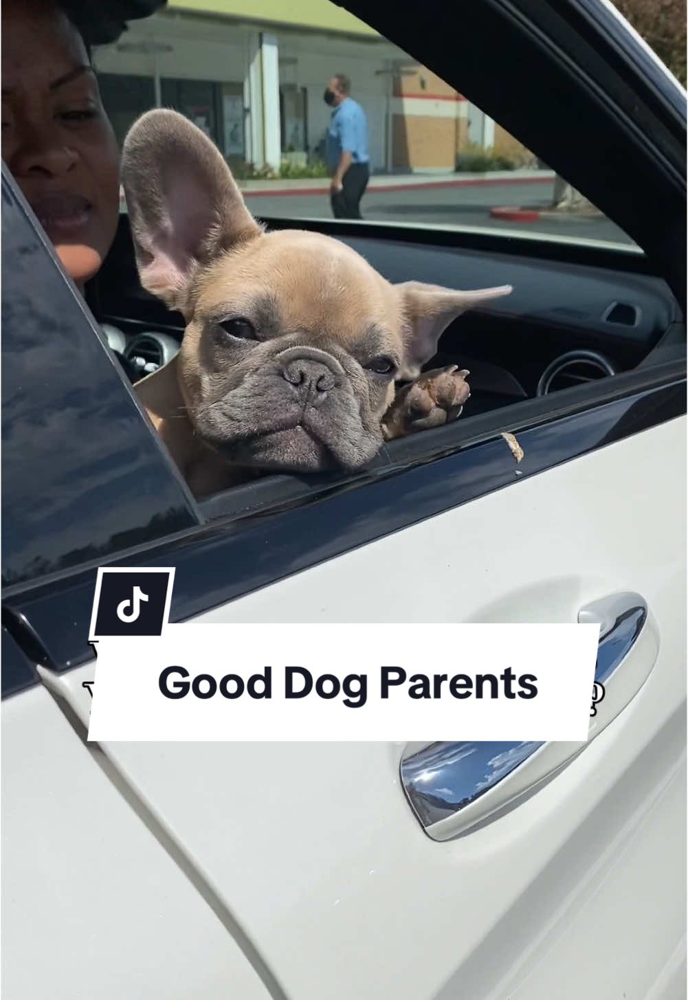 Is this even a question? #dogs #dogparent #dogsoverpeople #frenchbulldog #slap #dogdad 